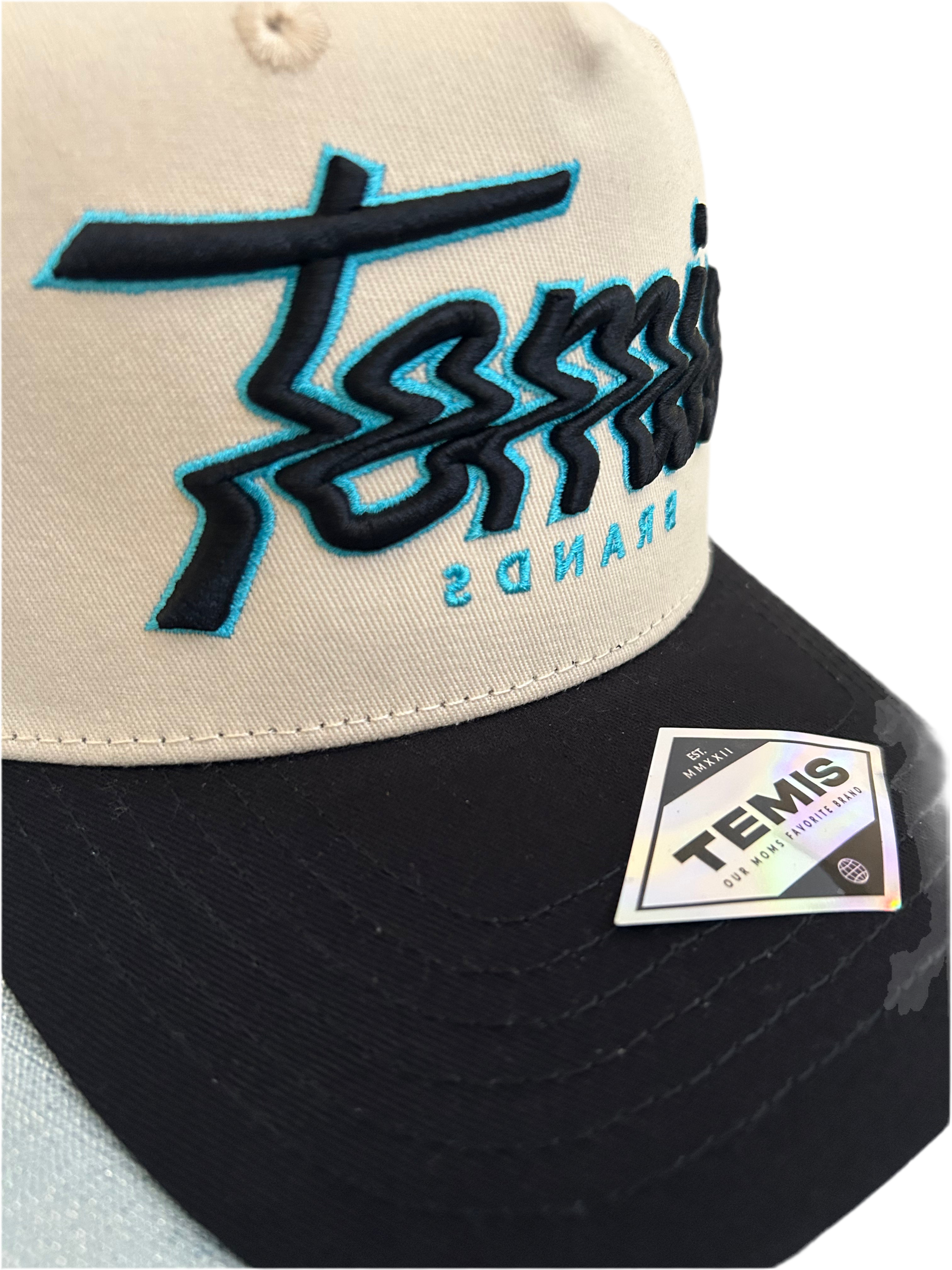 Temis Brands “Scribble” Hat – Limited Edition Chrome/Black