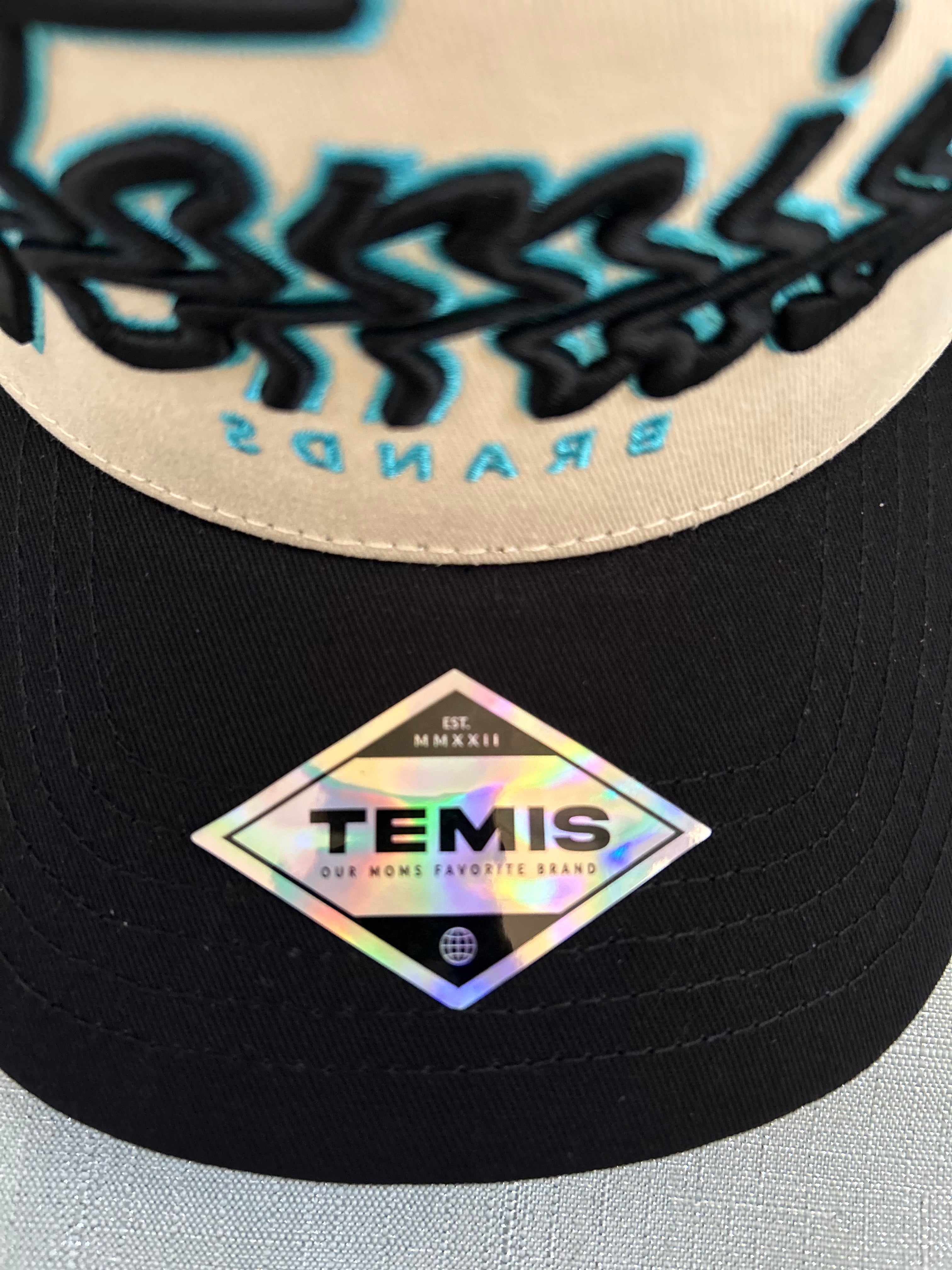Temis Brands “Scribble” Hat – Limited Edition Chrome/Black